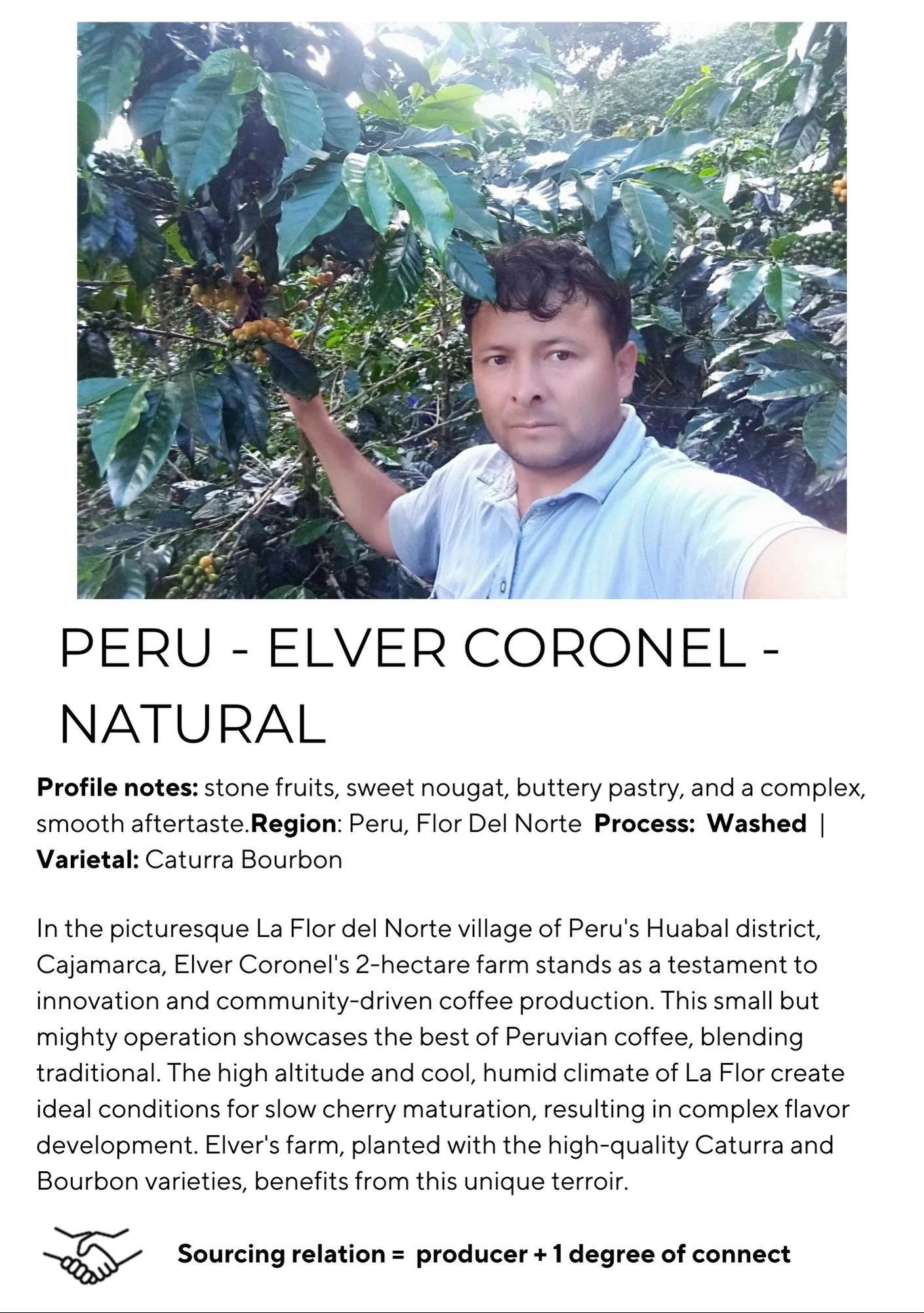 Peru Elver Coronel - Natural