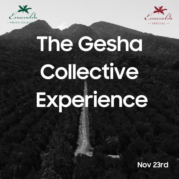 November - The Gesha Collective Experience ( Hacienda La Esmeralda, Panama )