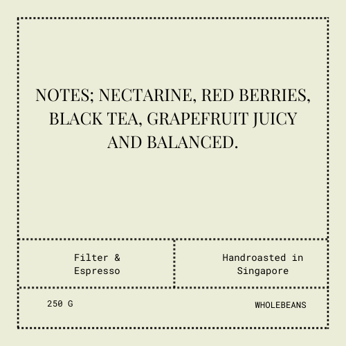 Rwanda - Gitega Hills Lot 140 | Washed | Bourbon