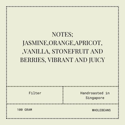 Janson Coffee, Alpes Lot 270 | Green Tip Gesha Limited