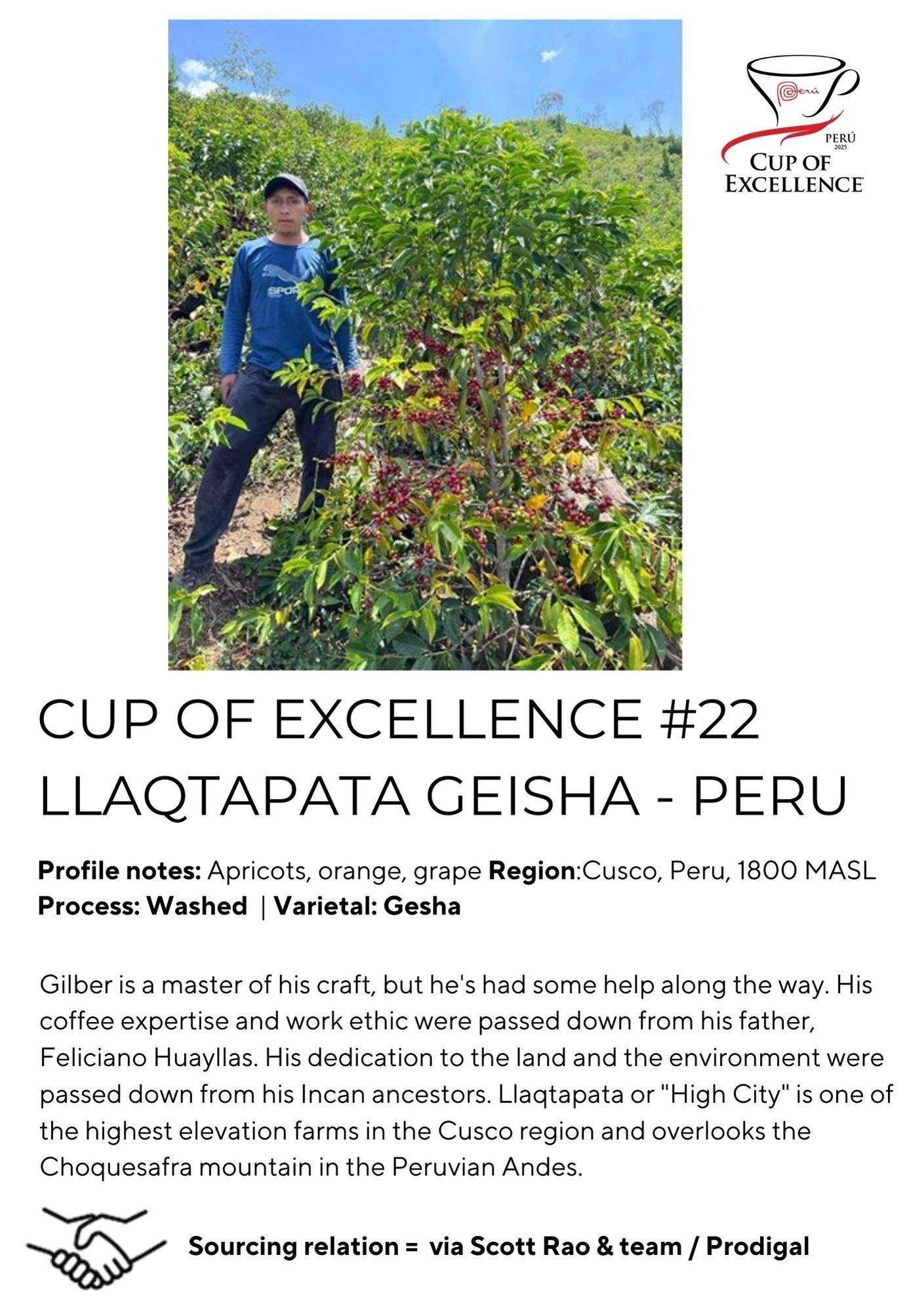 Cup of Excellence #22 Llaqtapata Geisha - Peru, Washed