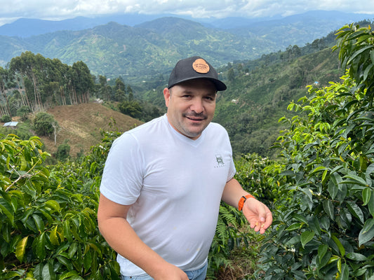 Wilder Lazo - New Pink Bourbon Lot