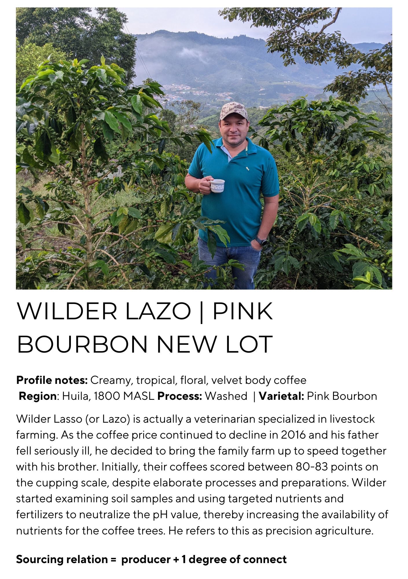 Wilder Lazo - New Pink Bourbon Lot