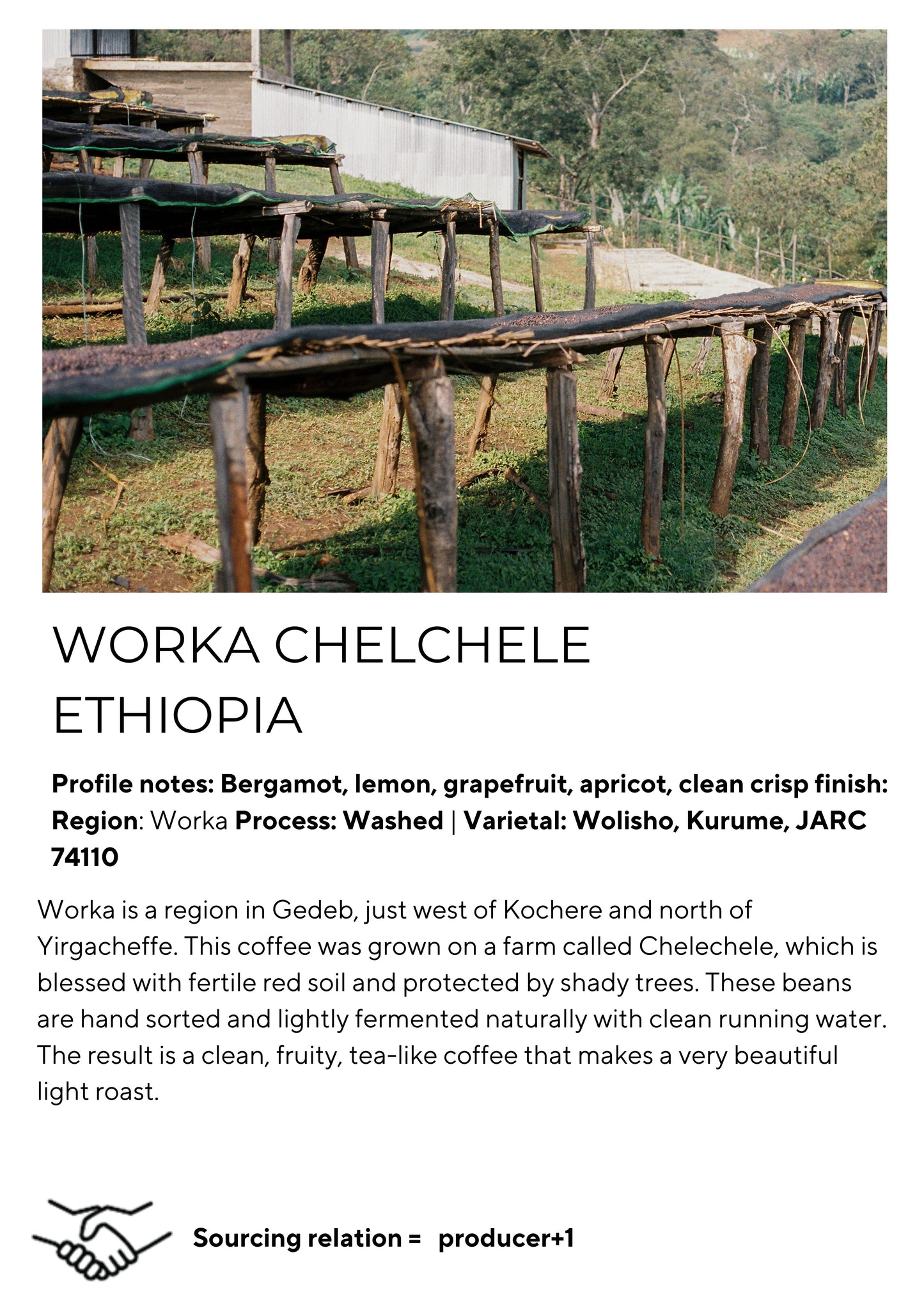 Chelchele Ethiopia