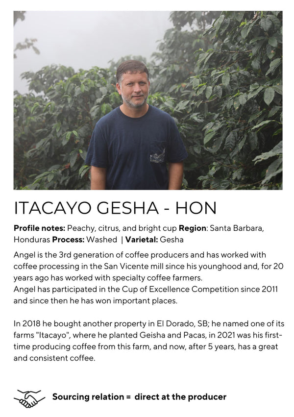 Itacayo Gesha - Honduras