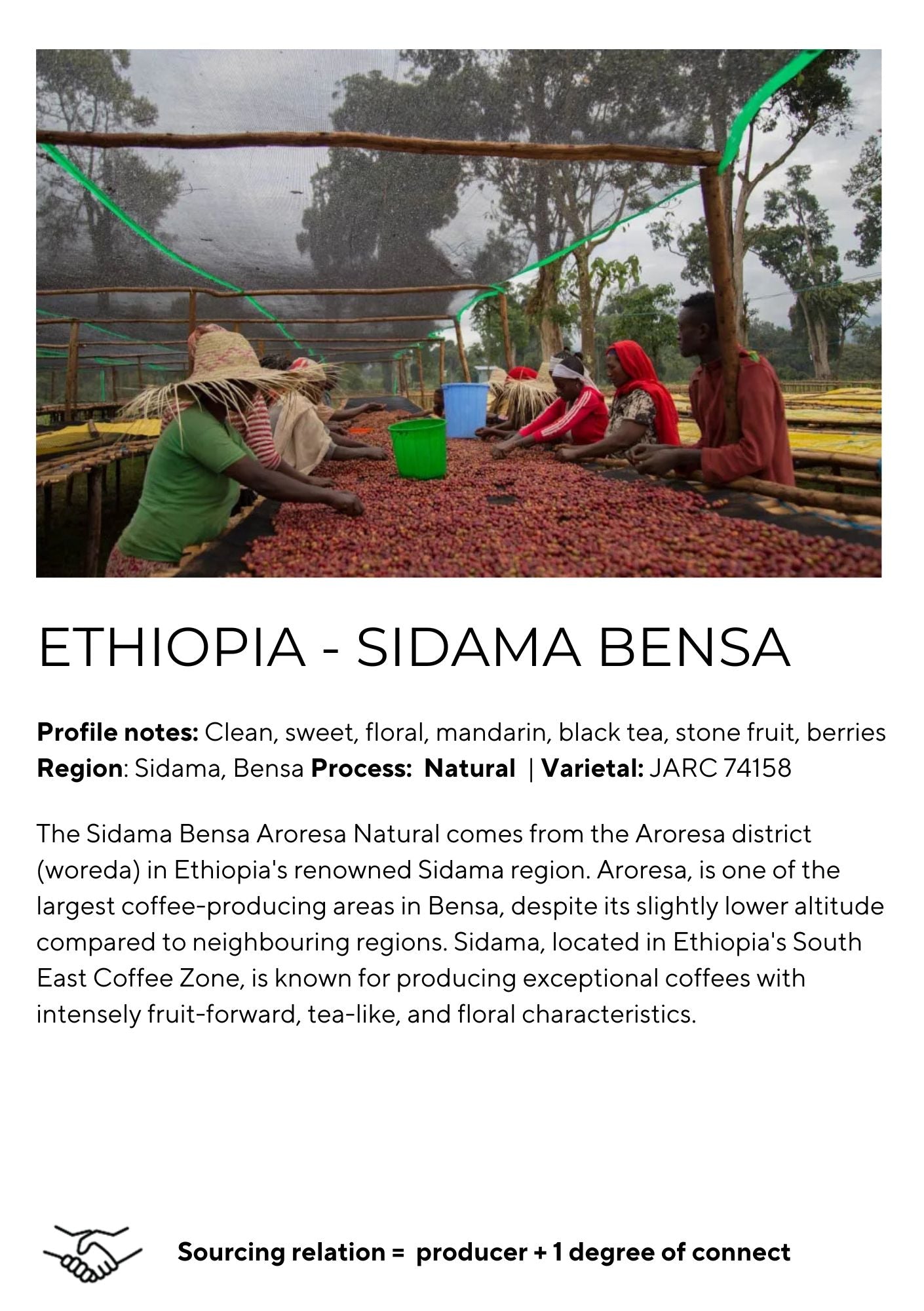 Sidama Bensa - Aroresa Natural