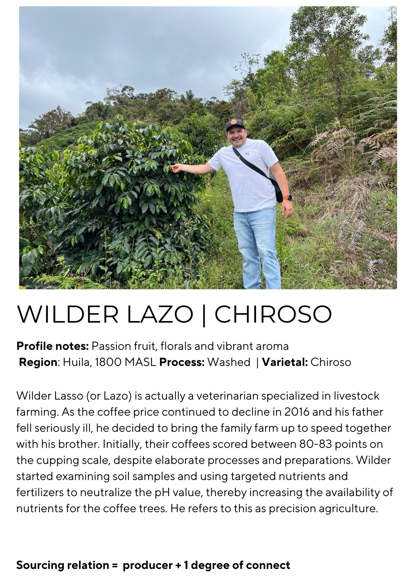Wilder Lazo - Chiroso Lot