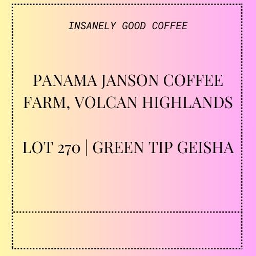 Janson Coffee, Alpes Lot 270 | Green Tip Gesha Limited