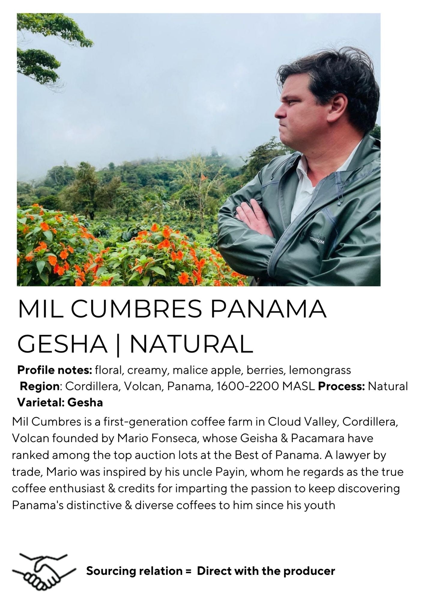 Mil Cumbres Panama Gesha | Natural