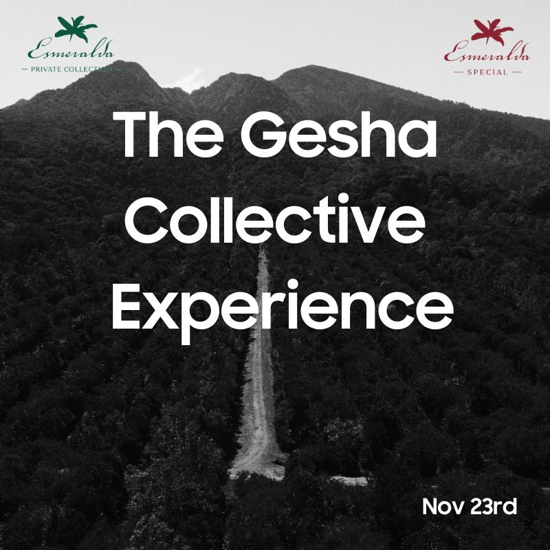 November - The Gesha Collective Experience ( Hacienda La Esmeralda, Panama  )