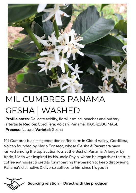 Mil Cumbres Panama Gesha | Washed