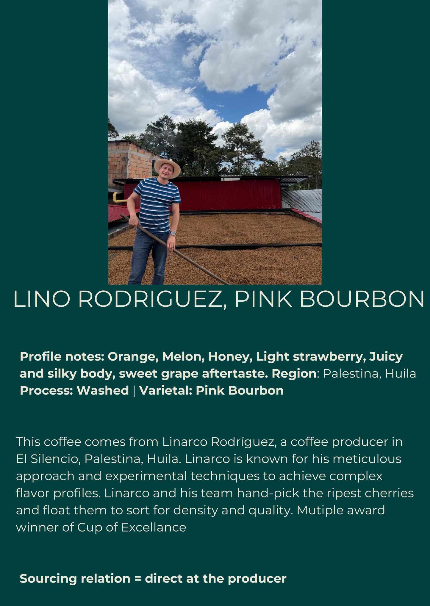 Colombia — Linarco Rodriguez, Pink Bourbon