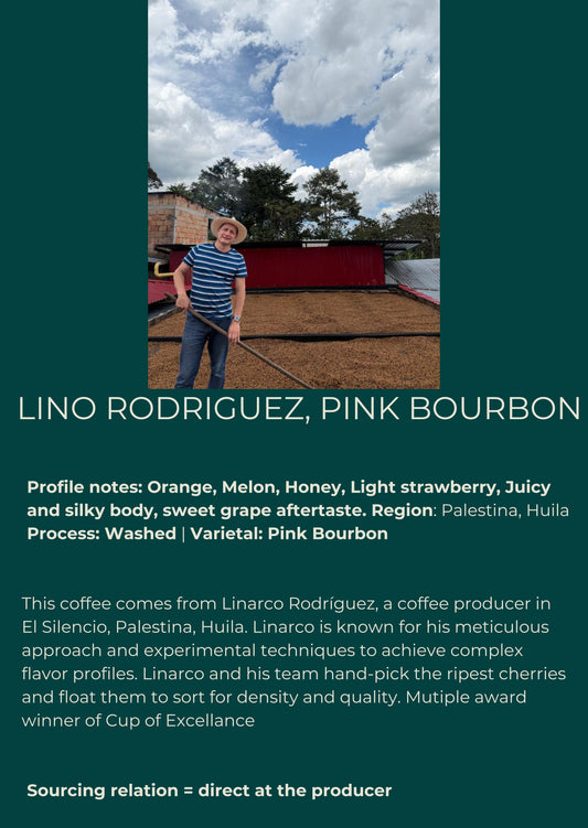 Colombia — Linarco Rodriguez, Pink Bourbon