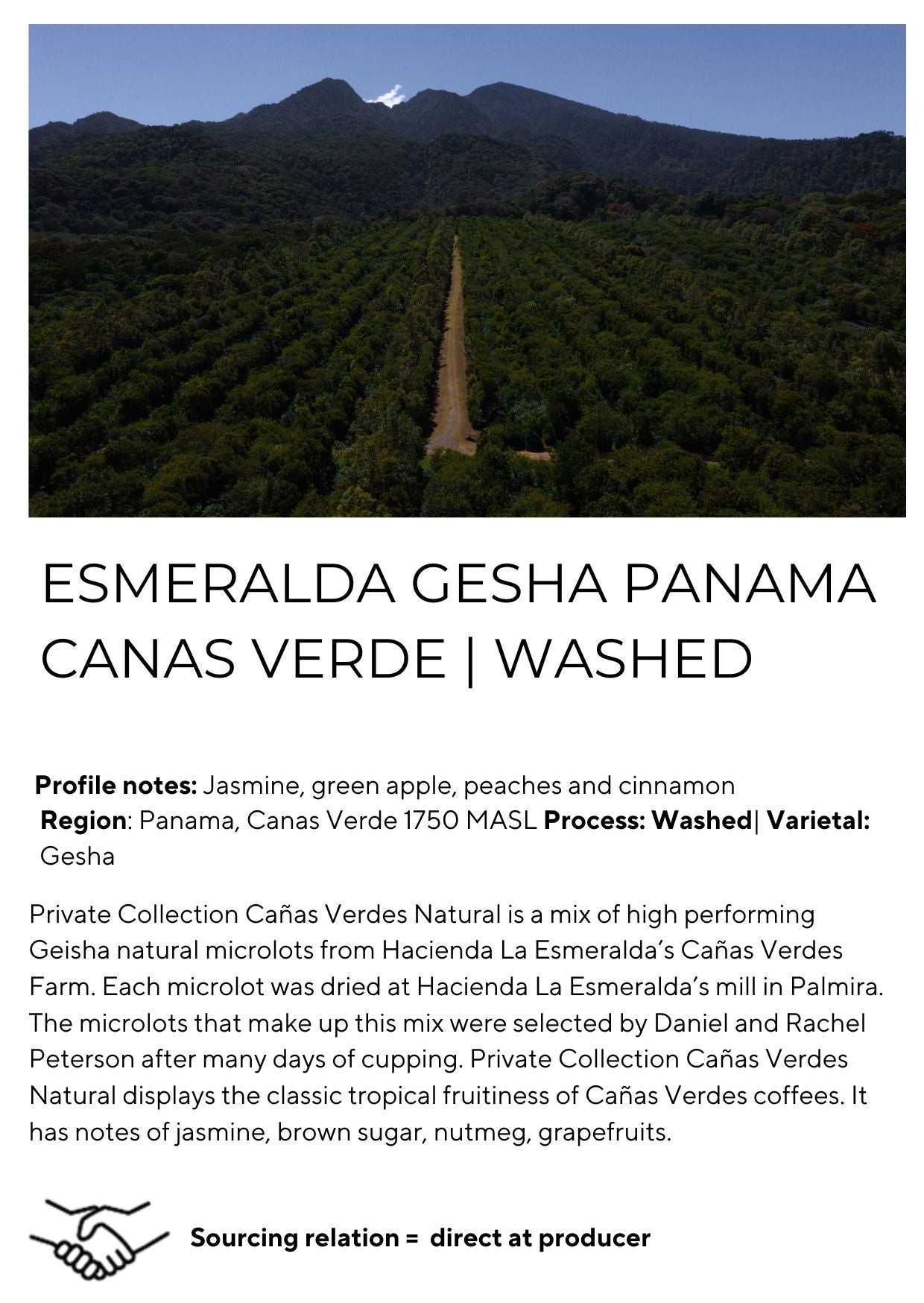 Esmeralda Panama Gesha Canas Verde | Washed