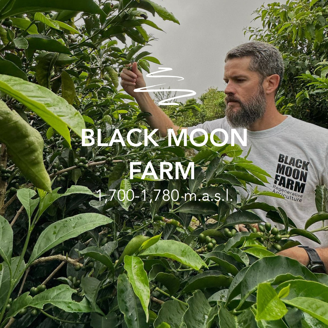 Black Moon Washed #2