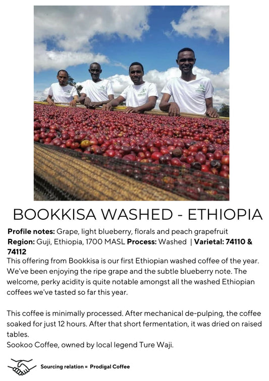Bookkisa Washed - Ethiopia