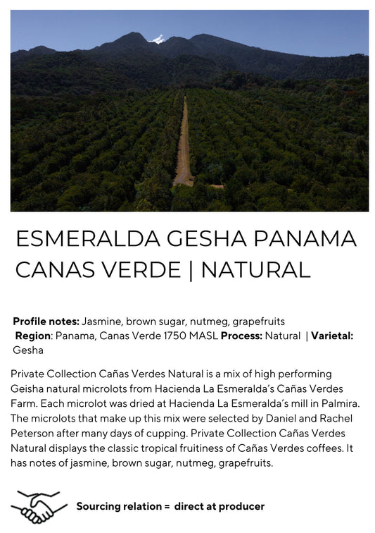 Esmeralda Panama Gesha Canas Verde | Natural