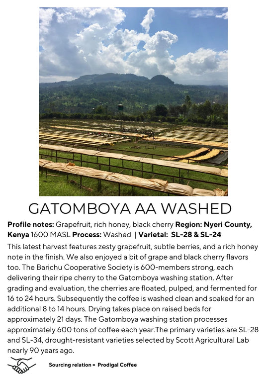 Gatomboya AA Washed
