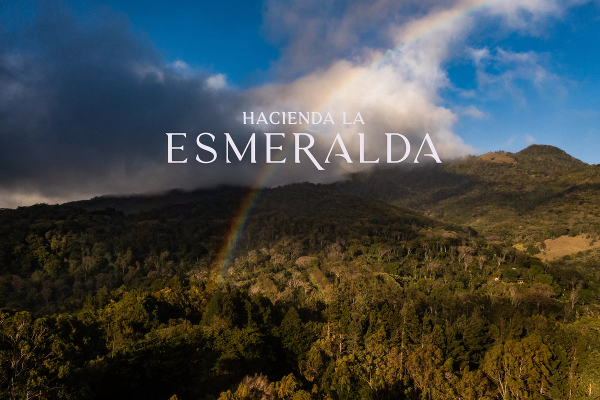 Hacienda La Esmeralda 3ANC