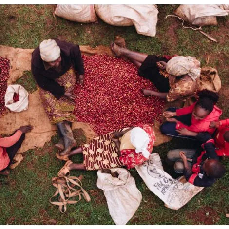 Kenya Tambaya