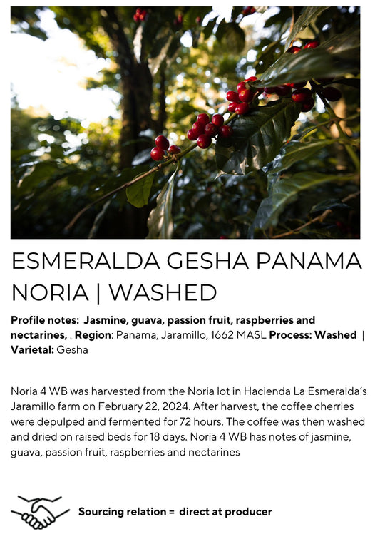 Esmeralda Panama Gesha Noria | Washed