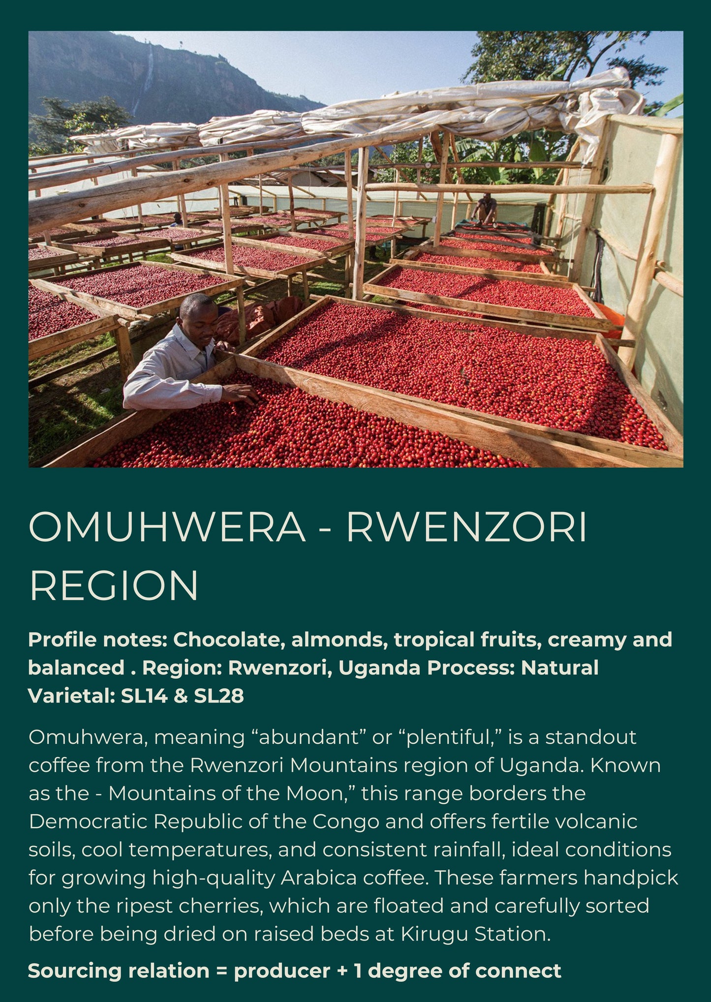 OMUHWERA - RWENZORI REGION