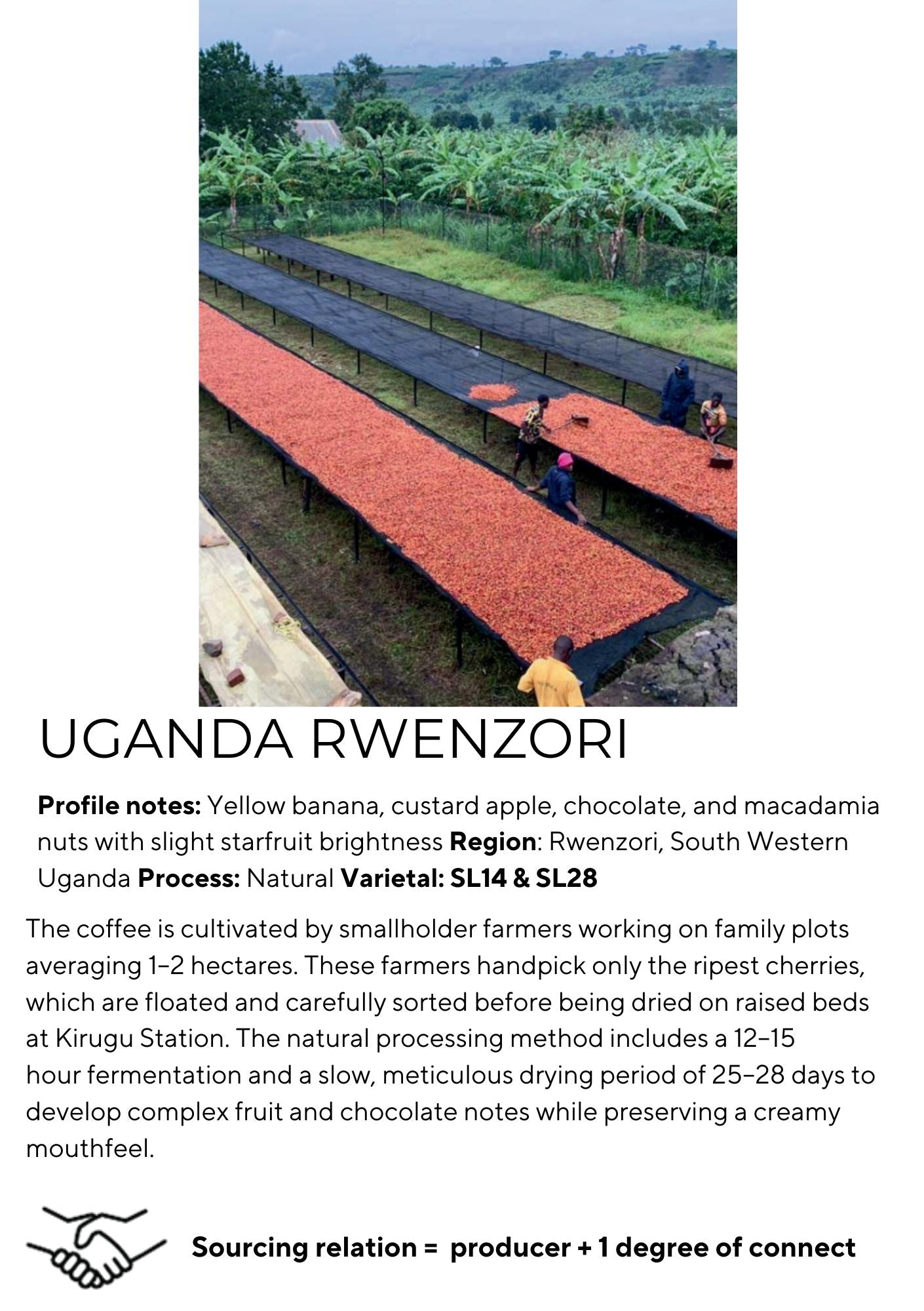 OMUHWERA - RWENZORI REGION