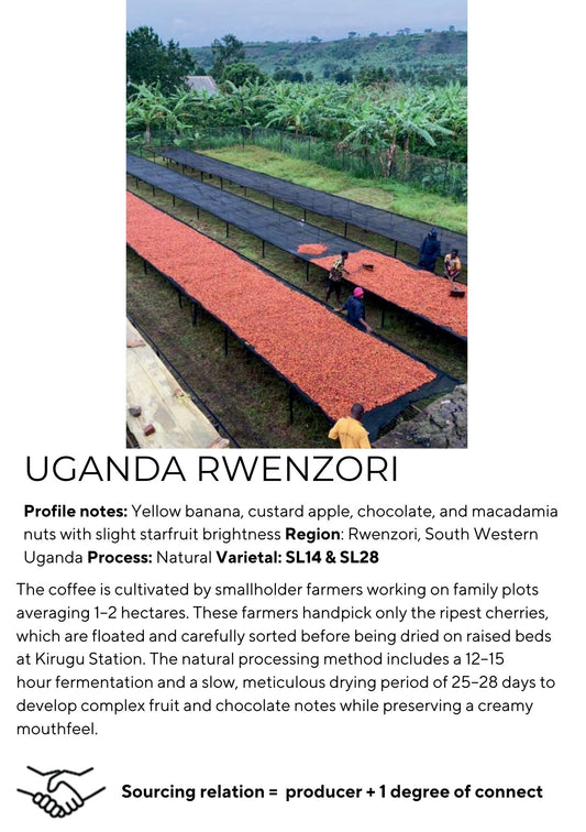 OMUHWERA - RWENZORI REGION